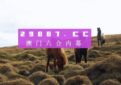 澳门最新开奖信息的魅力揭秘与深度探索