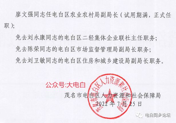 杨赵村委会人事任命揭晓，村级治理迈向新台阶