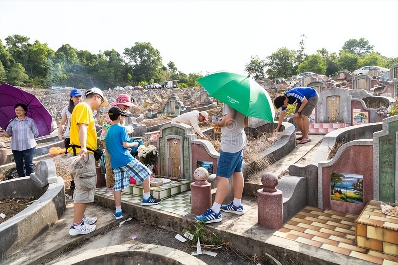 国内最新消息概览简报