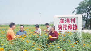 花台乡新领导团队引领地方发展跃升新高度