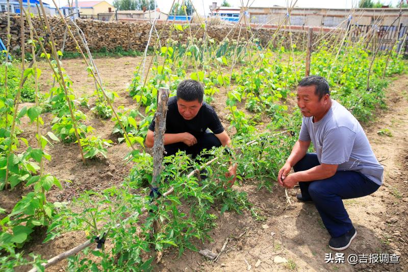 胡力吐蒙古族乡最新项目，地区发展的强大引擎领航前行