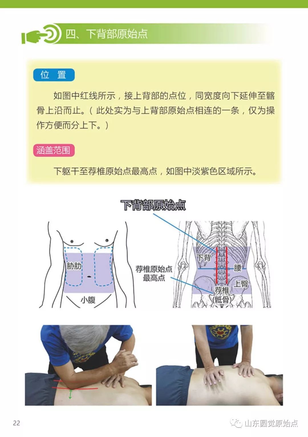 医学新领域突破，原始点最新案例成功探索揭秘