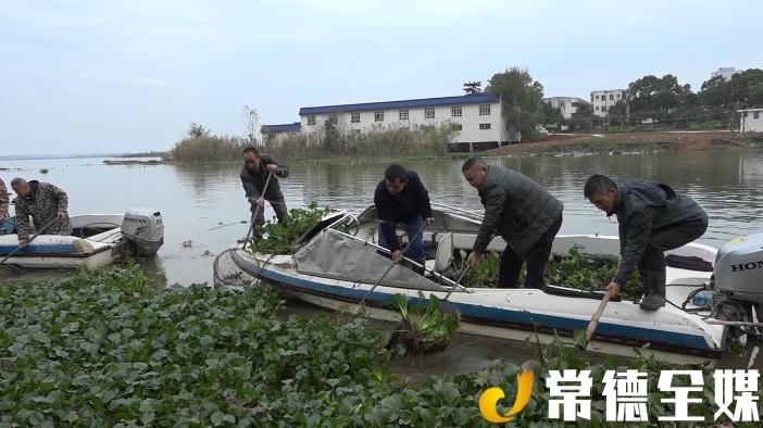 大湖股份最新消息综述，动态更新与深度解析