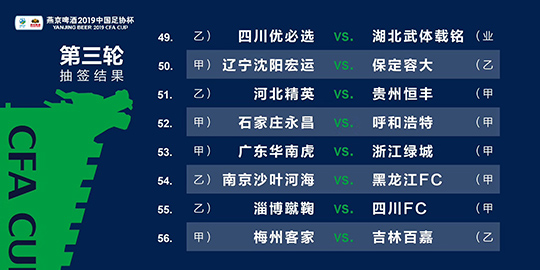 2024澳门正版免费精准资料,实地考察分析数据_MR48.675