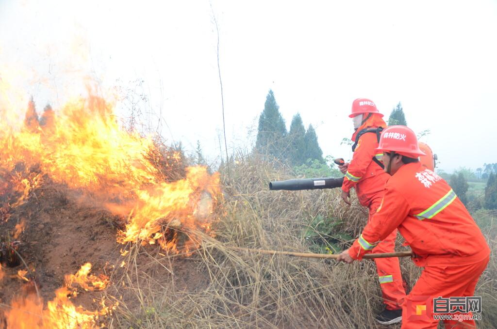 荣县应急管理局新闻动态更新