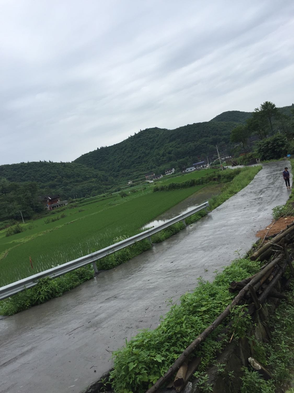 初布村委会天气预报更新通知