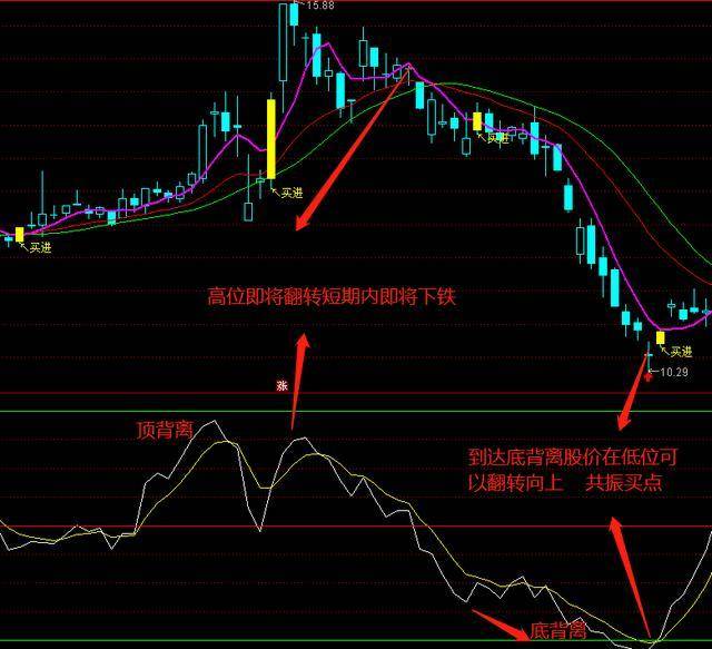 香港今晚特马,全面解答解释定义_尊贵版54.274