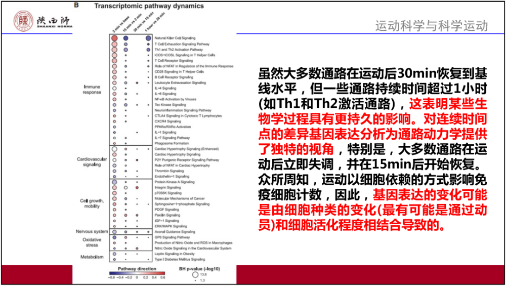 香港码的全部免费的资料,理论依据解释定义_KP57.613