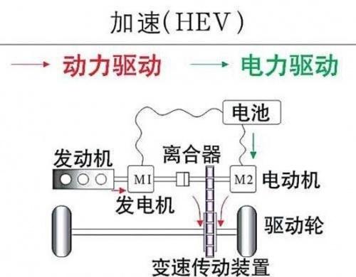 香港最准一肖100免费,实践数据解释定义_高级版83.201