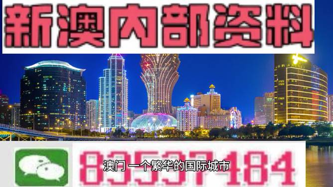 新澳内部资料免费精准37b,实践解答解释定义_标准版31.445