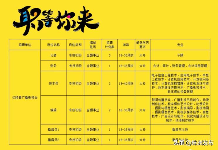 炎陵县医疗保障局最新招聘全解析