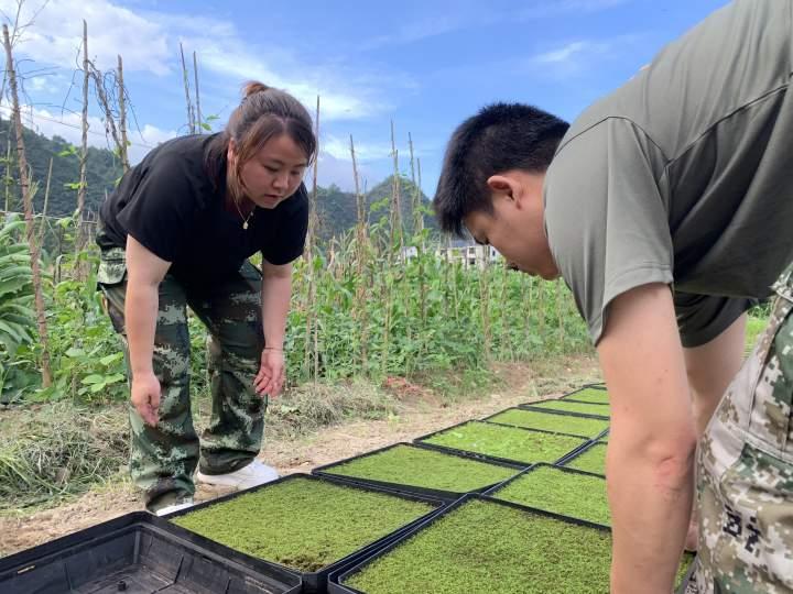 景宁畲族自治县数据和政务服务局发展规划探讨