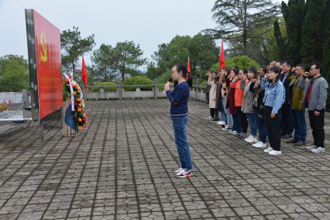 当阳市统计局新项目，数据科学前沿应用探索