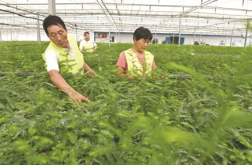 凤台县科技局领导团队最新概述