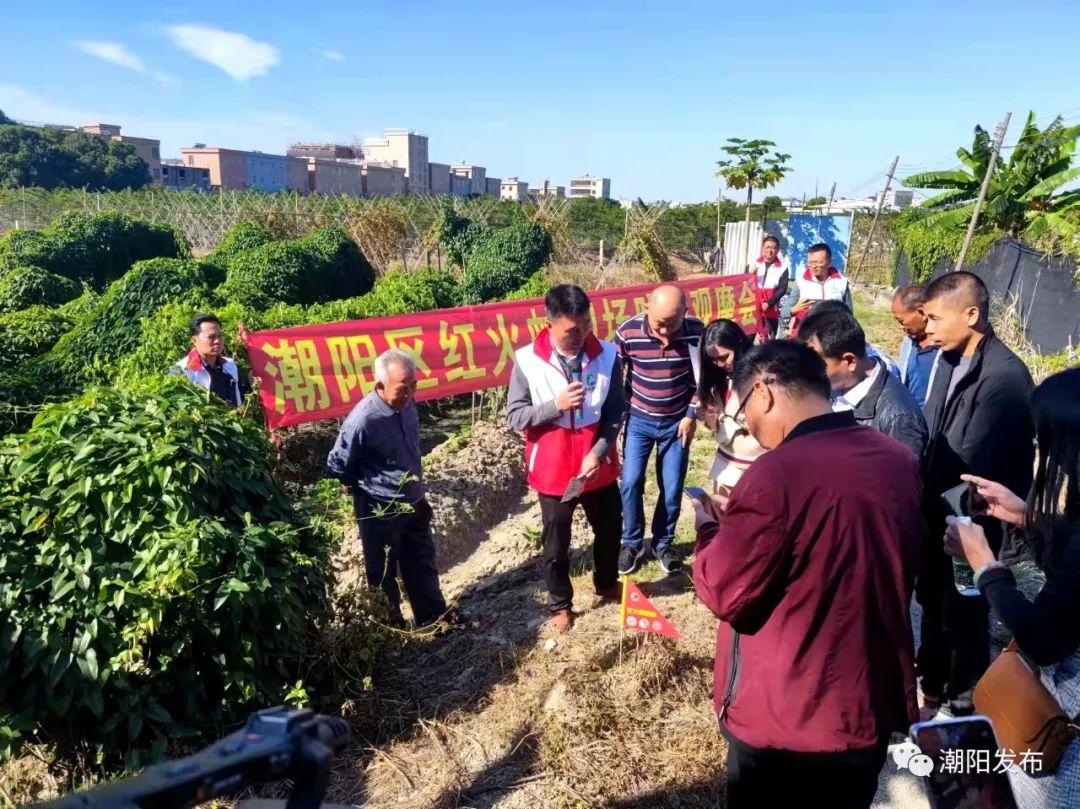 潮阳区应急管理局现代化应急管理体系发展规划揭晓