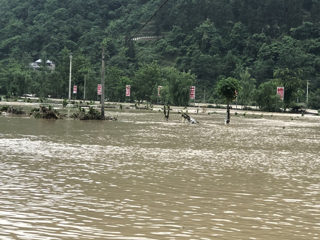 段河坝村委会天气预报更新通知