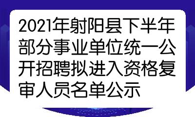 射阳县数据和政务服务局招聘公告详解