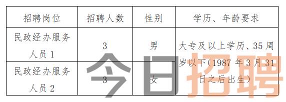 隆回县统计局最新招聘概况及职位信息