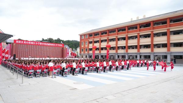 龙山区小学最新动态报道