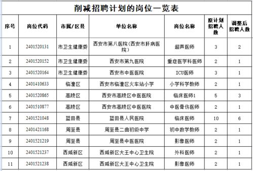 东兴市级托养福利事业单位发展规划概览