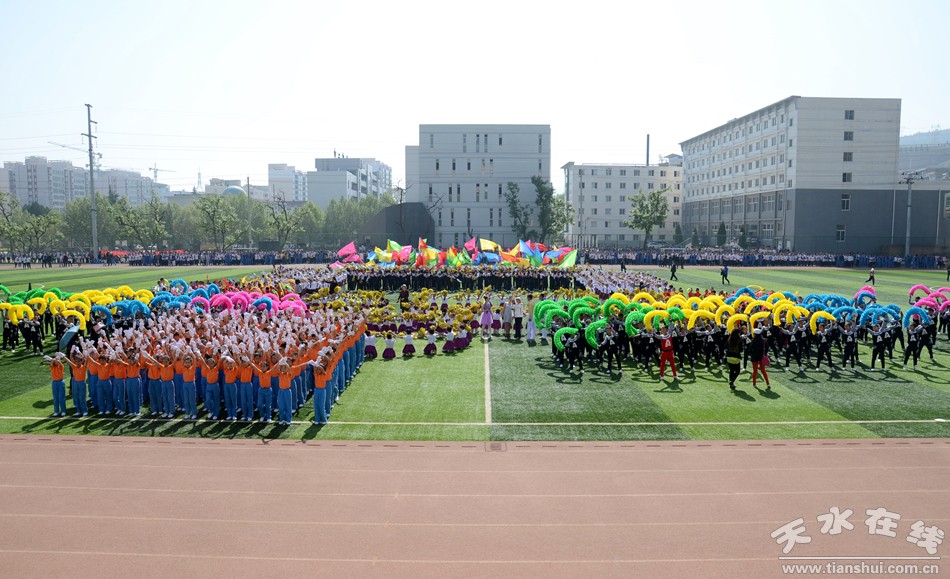 麦积区小学新项目，探索教育创新之路