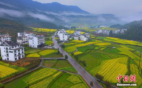 江西婺源文化与旅游深度融合助力地方繁荣发展最新报道