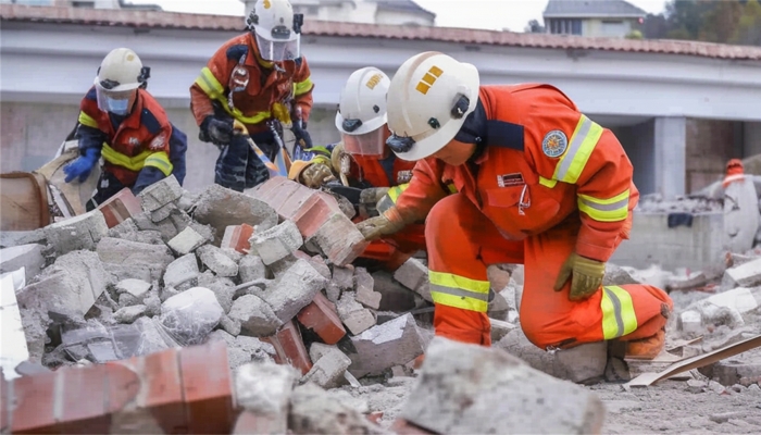 最新地震动态与影响深度分析