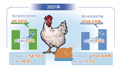 鸡肉价格最新行情解析