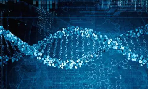 基因编辑技术的新突破引领生命科学新纪元