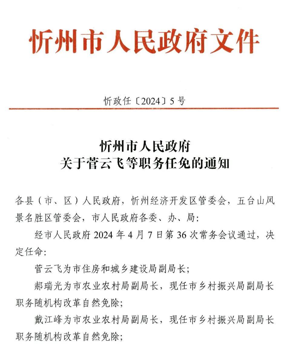 忻府区人民政府办公室人事任命揭晓，引领区域发展开启新篇章